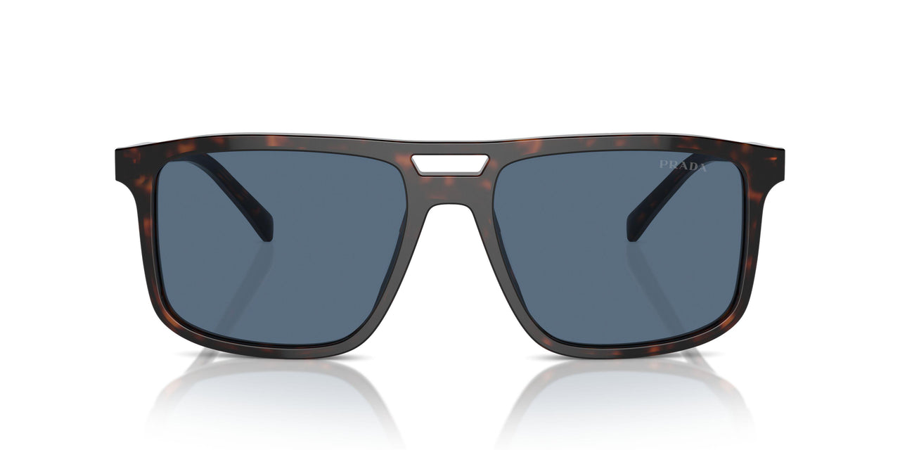 17N06A - Tortoise - Dark Blue