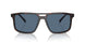 17N06A - Tortoise - Dark Blue
