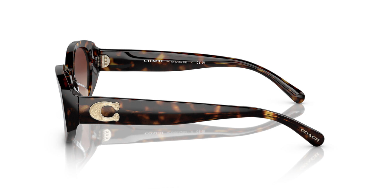 512013 - Havana - Dark Brown Gradient