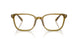 6172 - Brown