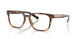 6161 - Tortoise