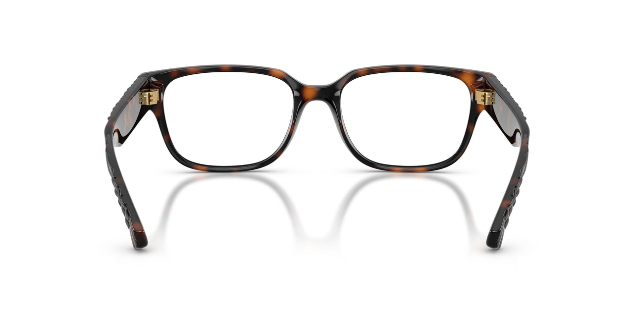 3002 - Brown