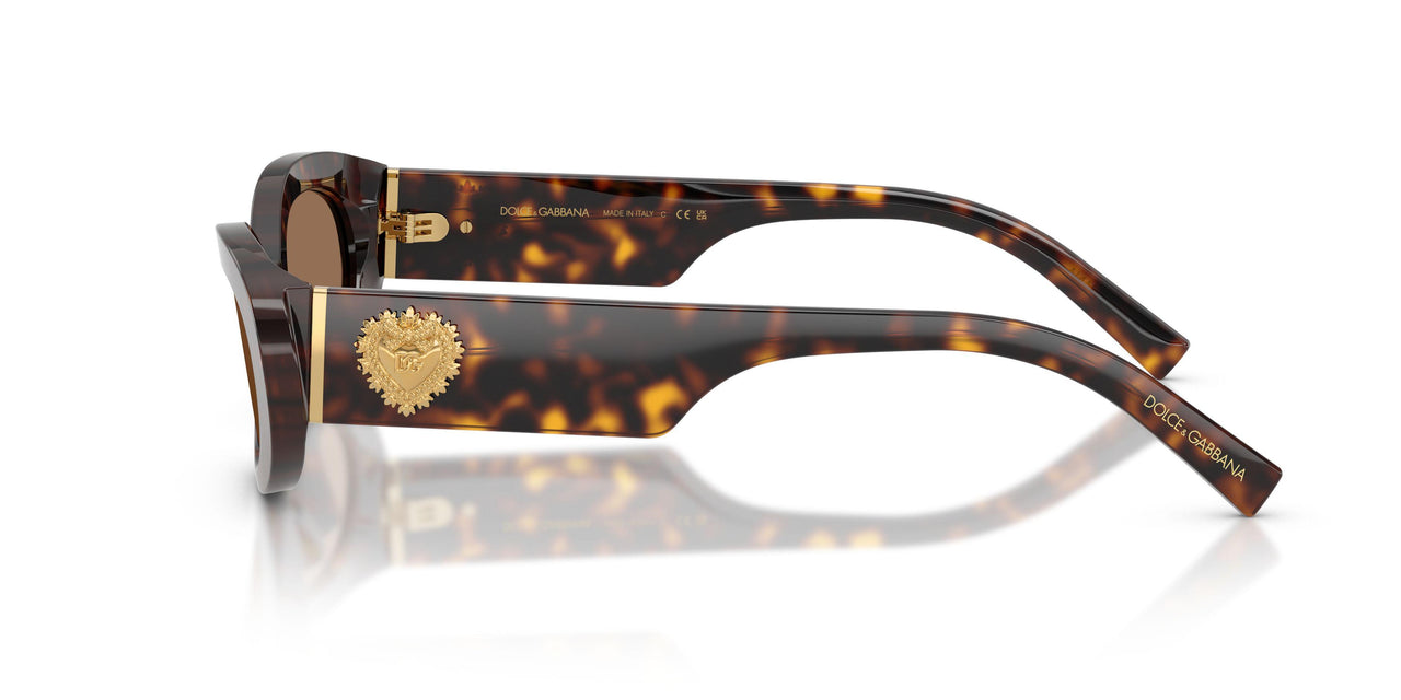 502/73 - Tortoise - Dark Brown