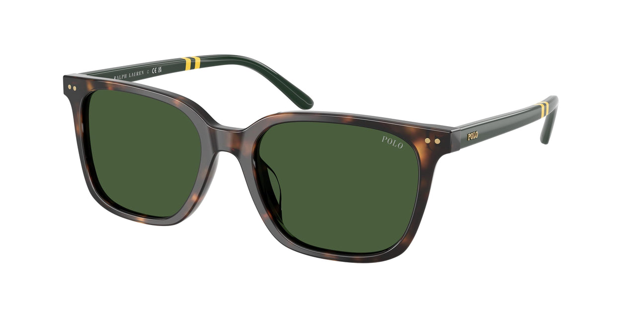 Polo 4235U Sunglasses