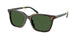 Polo 4235U Sunglasses