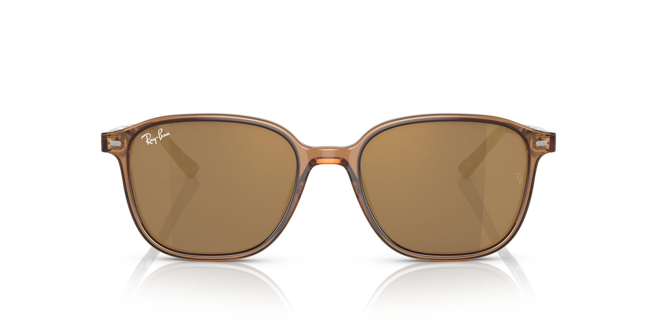 663693 - Brown - Light Brown Mirror Gold