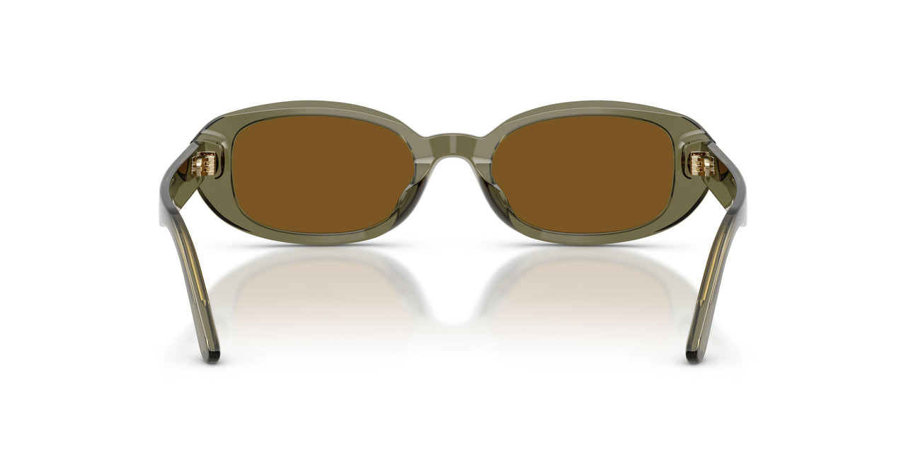 208583 - Green - Dark Brown Polarized