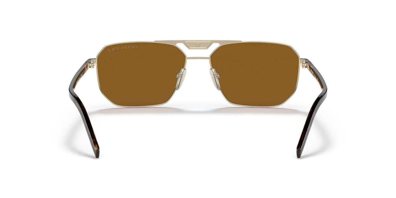 ZVN5Y1 - Gold - Polar Dark Brown