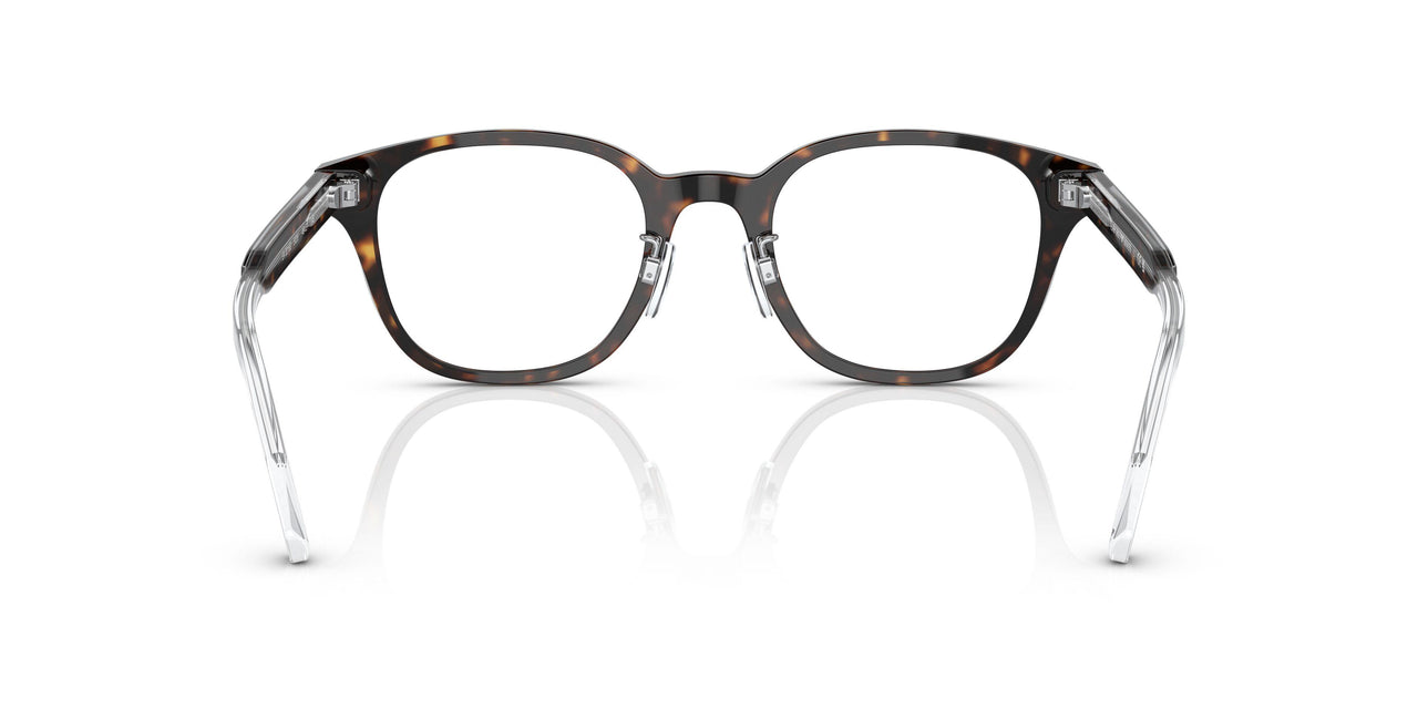 5026 - Tortoise