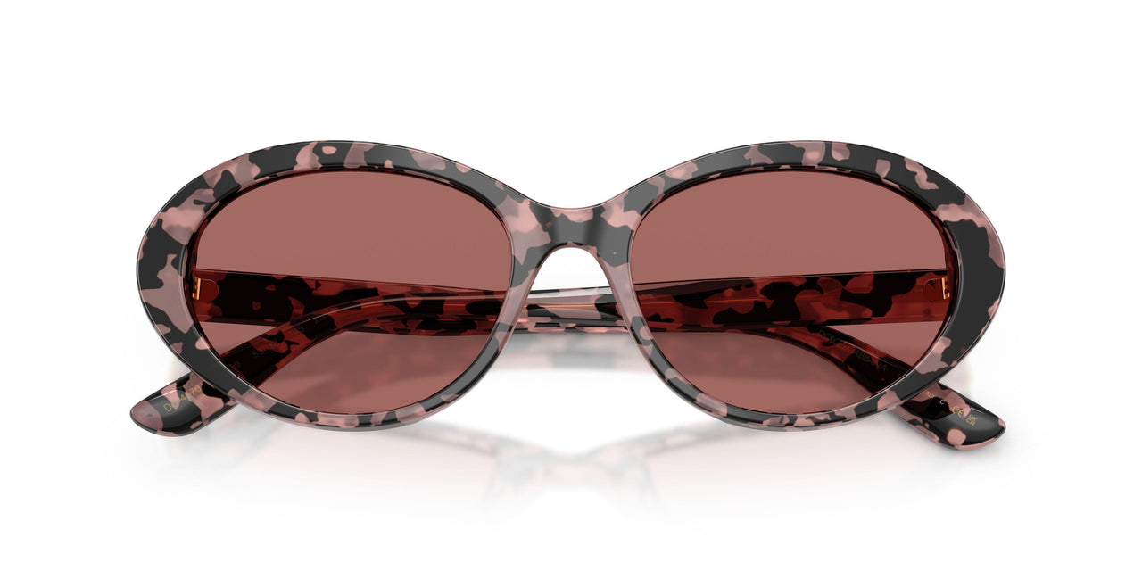 347669 - Tortoise - Dark Violet