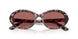 347669 - Tortoise - Dark Violet