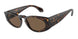 612473 - Tortoise - Dark Brown