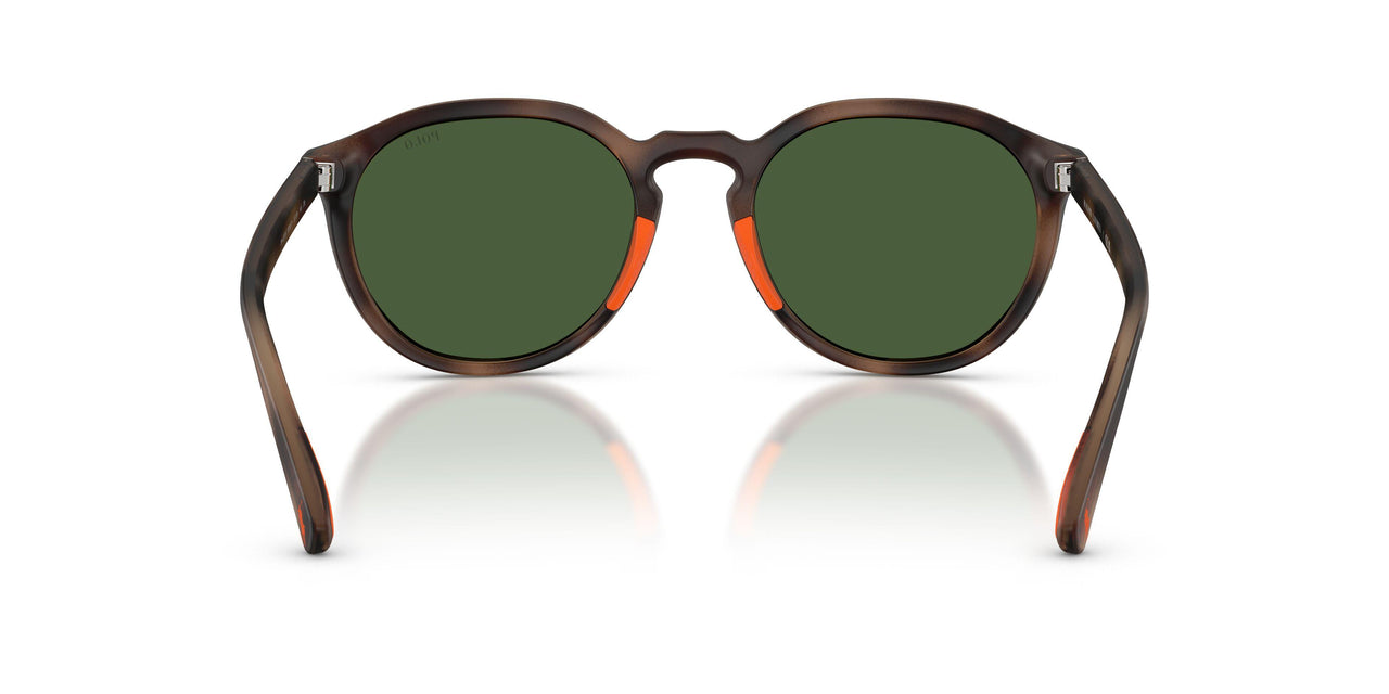 597471 - Tortoise - Bottle Green