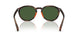 597471 - Tortoise - Bottle Green