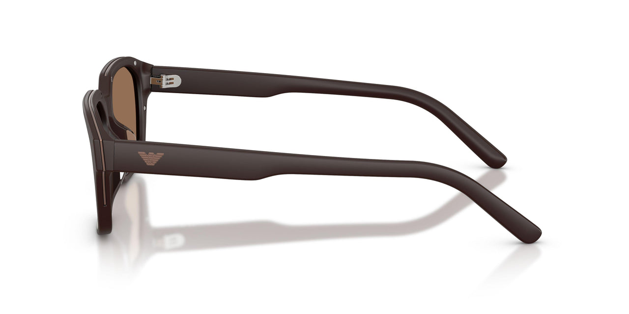 645873 - Brown - Dark Brown