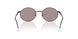 3393AK - Violet - Violet Mirror Flash Silver