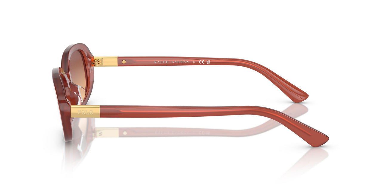 619478 - Brown - Orange Gradient Violet