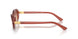 619478 - Brown - Orange Gradient Violet