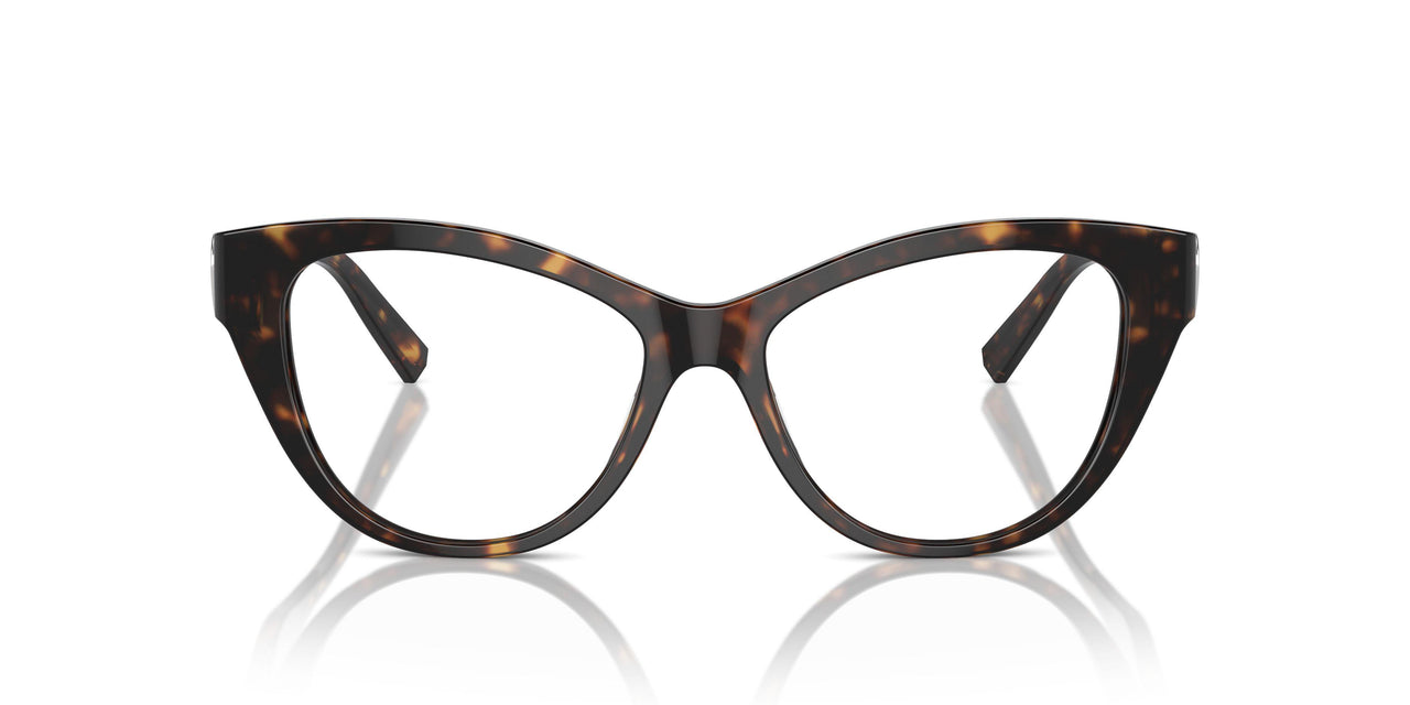 8015 - Tortoise