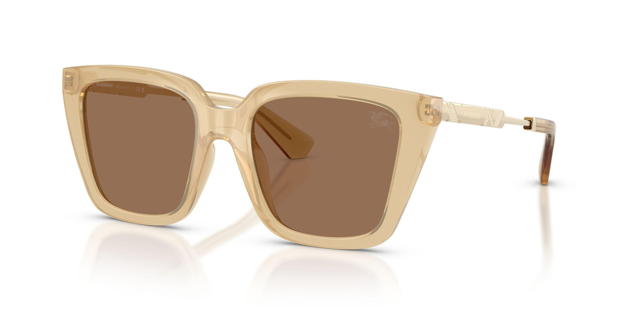 419873 - Yellow - Dark Brown