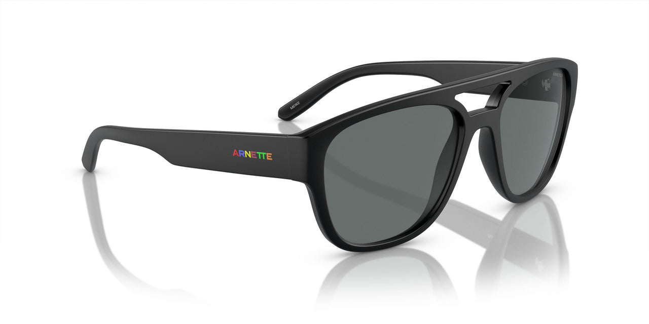 290081 - Black - Polarized Grey