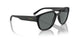 290081 - Black - Polarized Grey
