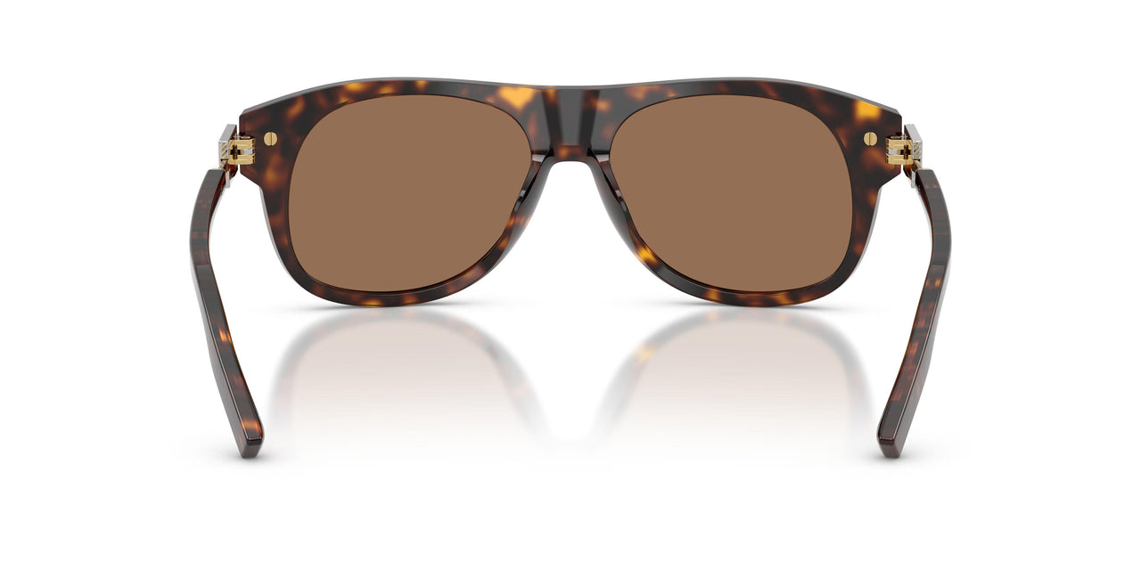 502/73 - Tortoise - Dark Brown