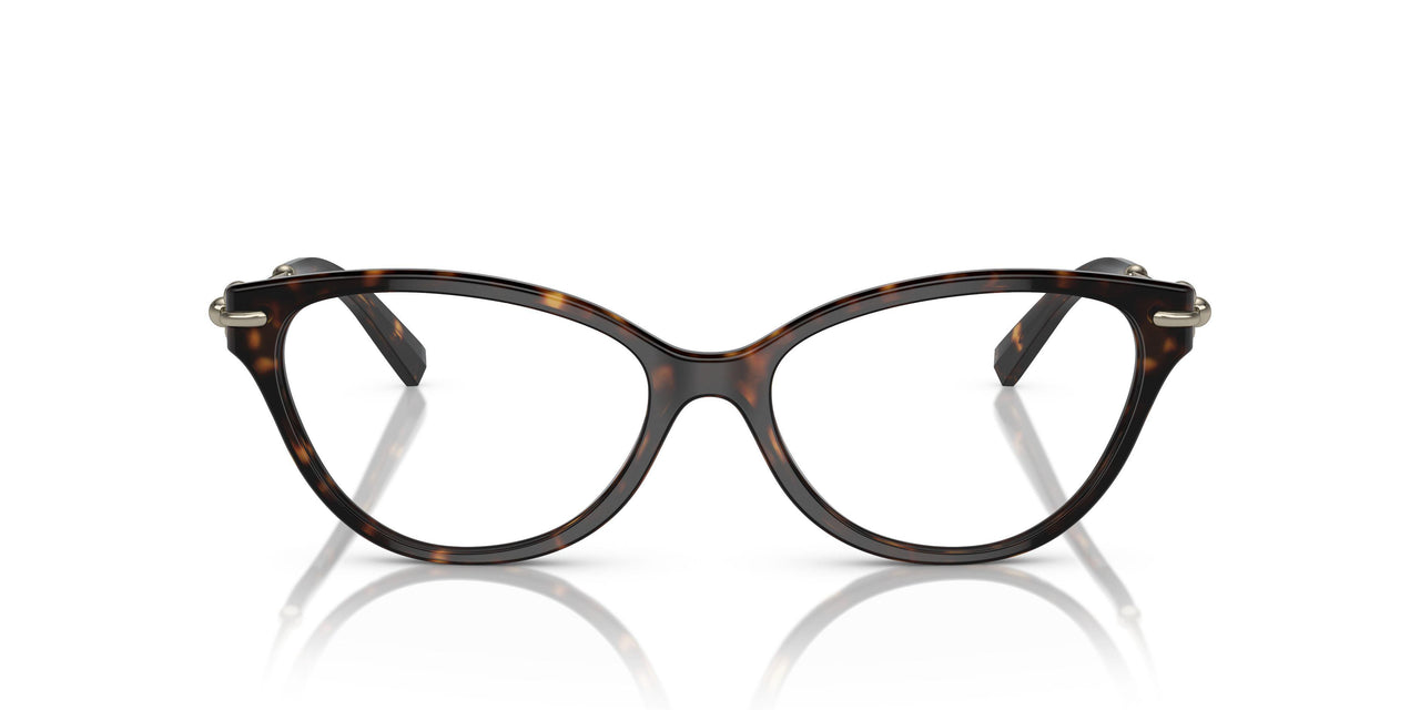 8015 - Tortoise