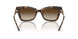 300613 - Tortoise - Brown Gradient