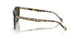 31869A - Tortoise - Dark Green Polar