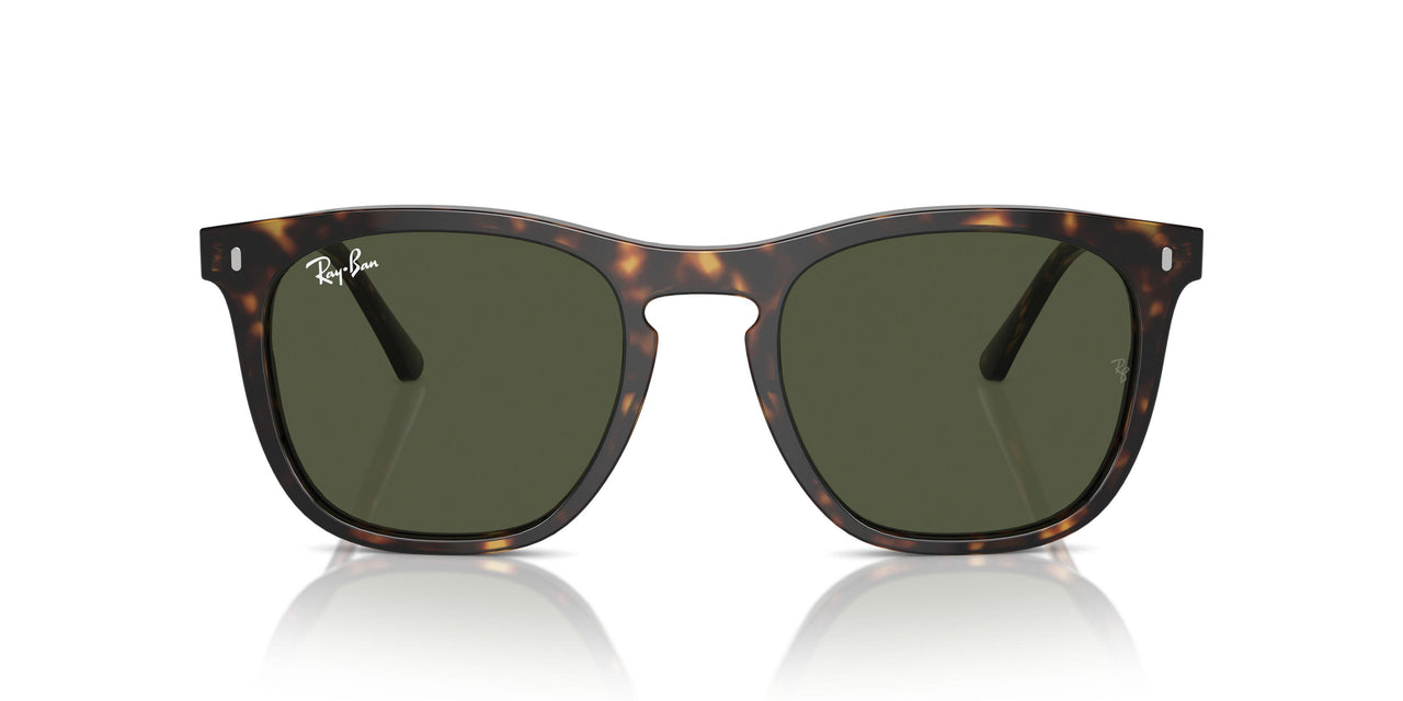 902/31 - Tortoise - Green