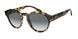 587486 - Havana - Light Blue Gradient Grey