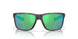 912009 - Tortoise - Green Mirror