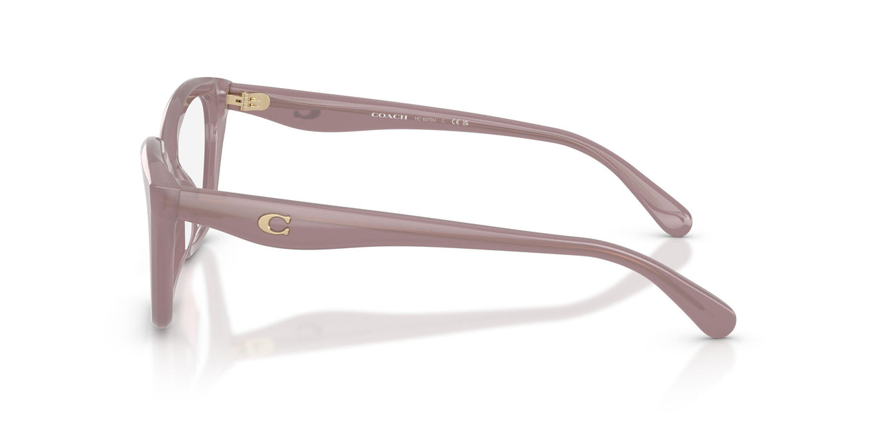 5495 - Brown