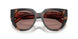 23A60B - Tortoise - Light Brown