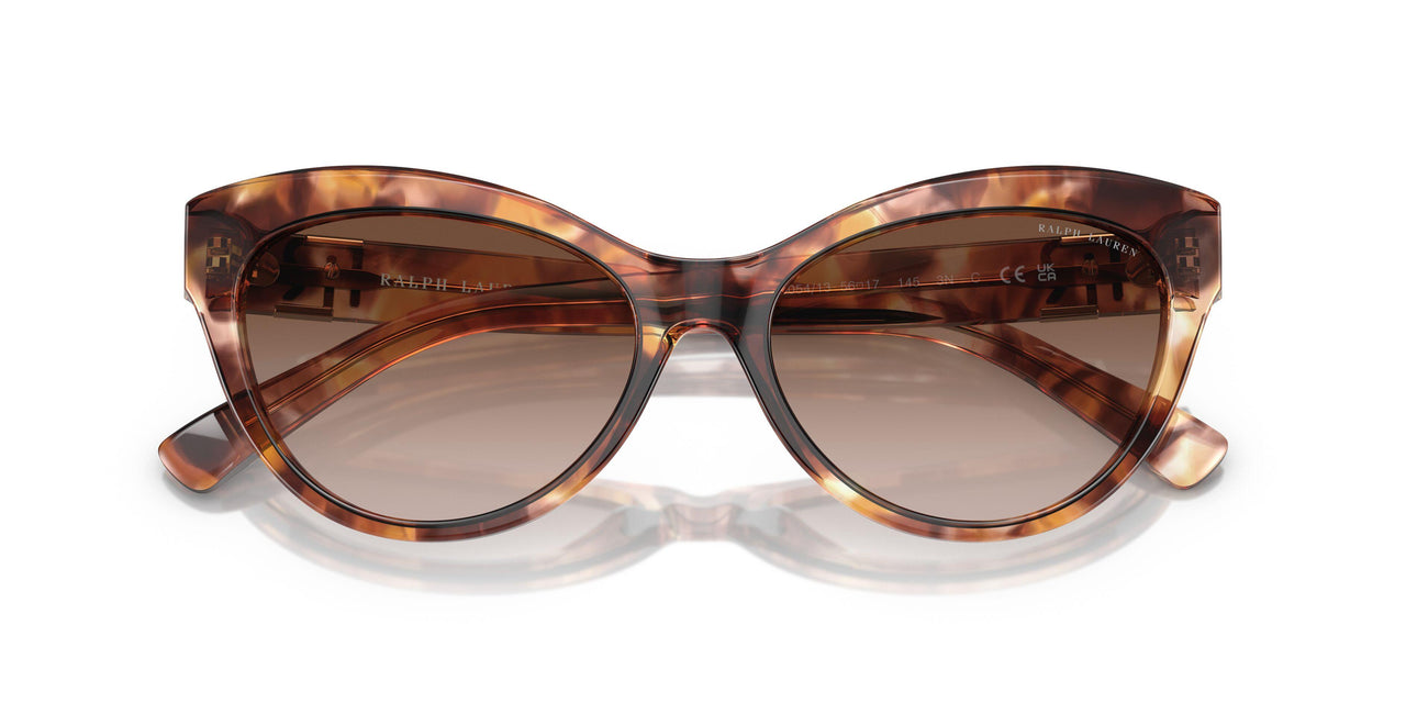 605413 - Tortoise - Gradient Brown