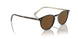166657 - Brown - True Brown Polarized