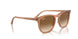676451 - Brown - Clear & Brown