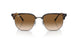710/51 - Havana - Clear Gradient Brown