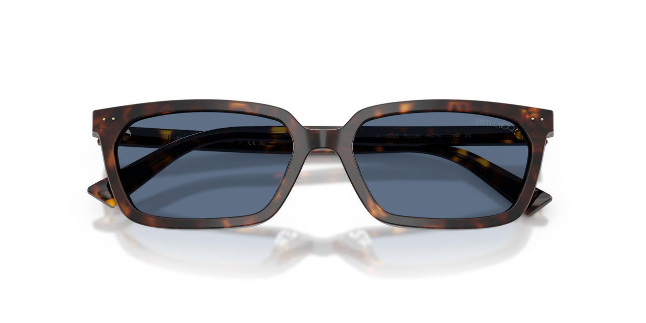500280 - Tortoise - Blue