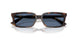 500280 - Tortoise - Blue