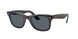 1446R5 - Brown - Blue