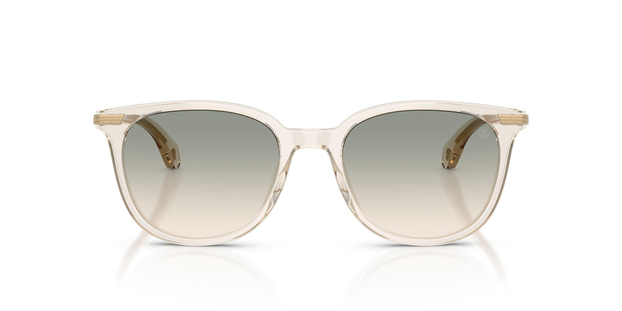 30032C - Brown - Gradient Brown