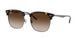 710/13 - Tortoise - Brown
