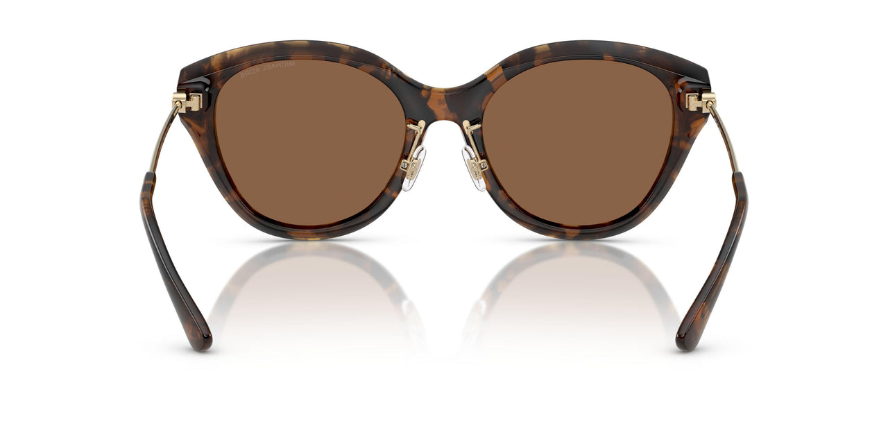 30063G - Tortoise - Dark Brown Solid