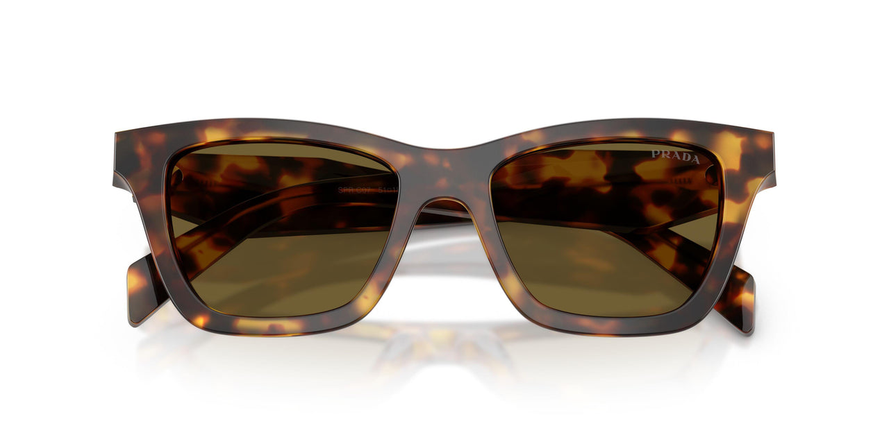14L09Z - Tortoise - Dark Brown