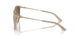 834213 - Brown - Gradient Brown