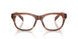 24G1O1 - Brown