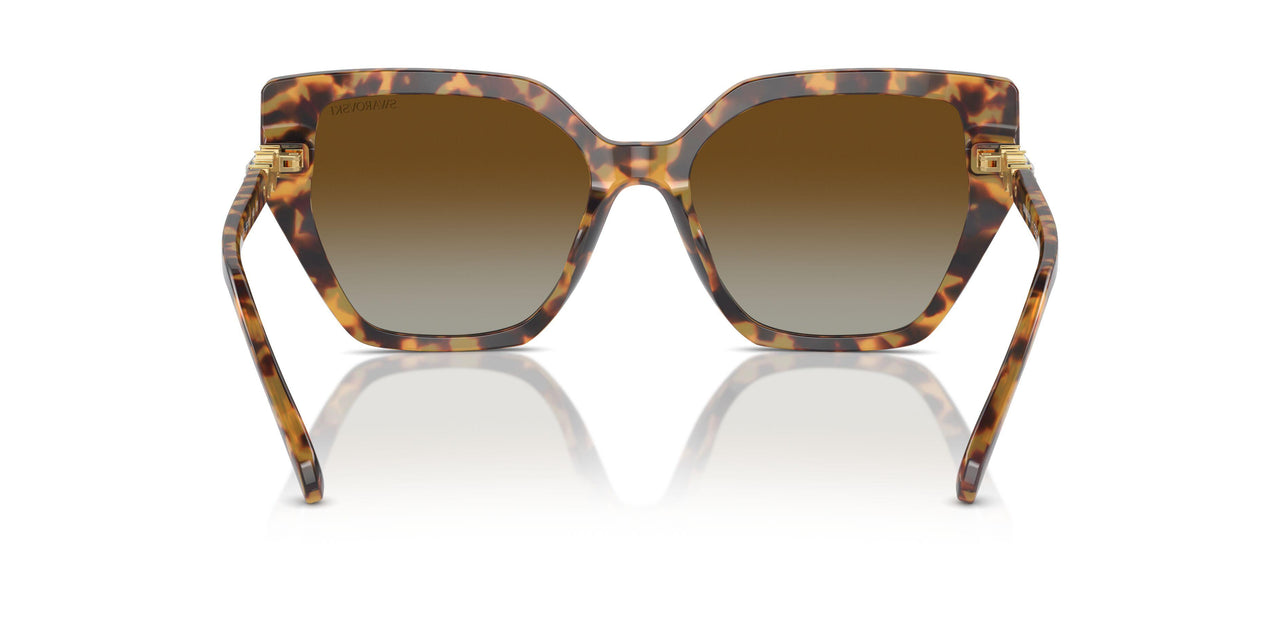 1004T5 - Tortoise - Brown Gradient