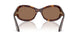 100773 - Tortoise - Brown